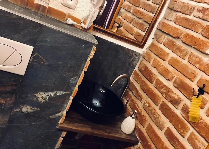 酒店 索科尔楼大酒店 多玛泽里塞